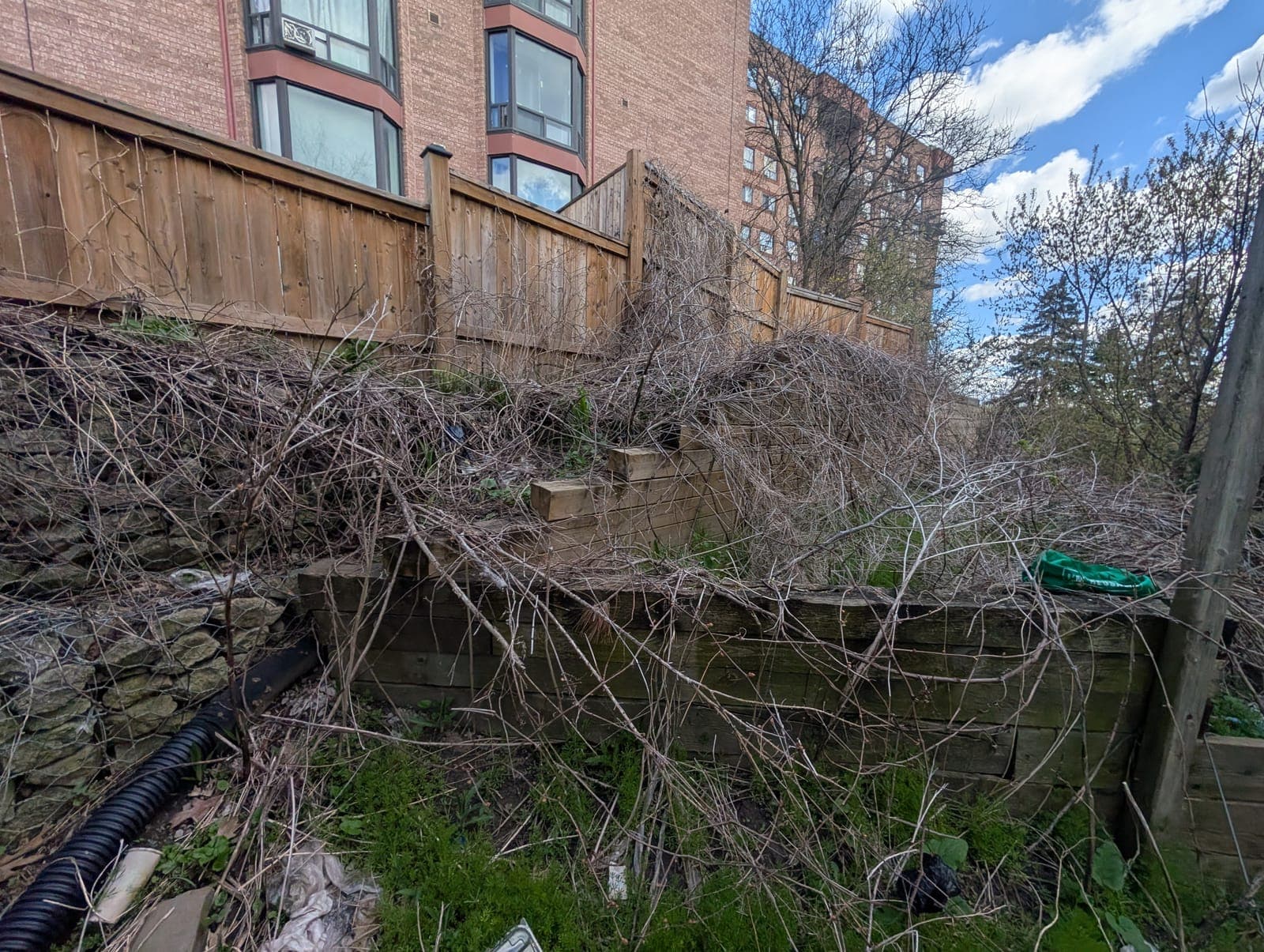 Overgrown timber and stone retaining wall in need of restoration behind a residential building