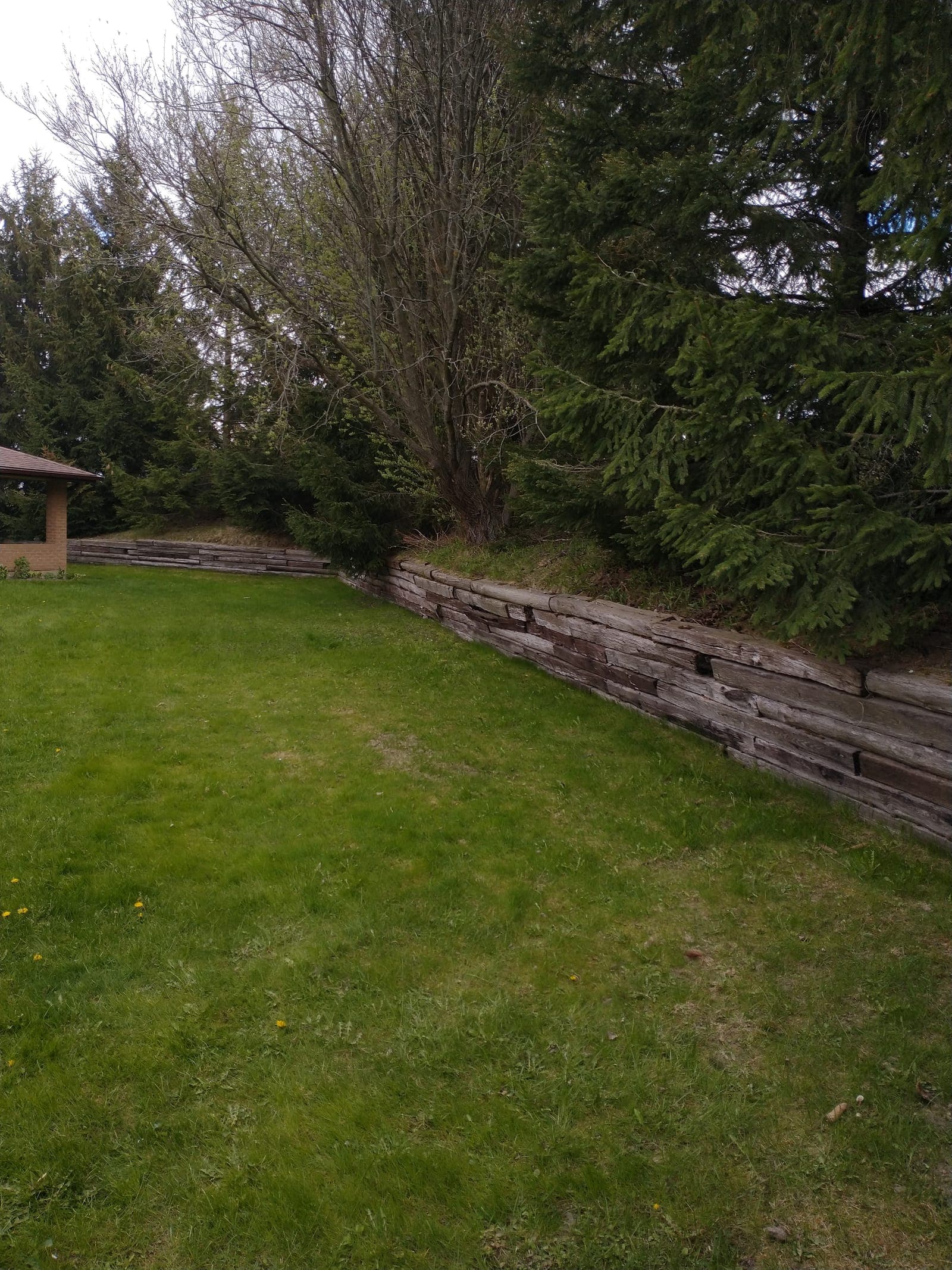 Weathered timber retaining wall curving along a backyard lawn and holding back a treed slope