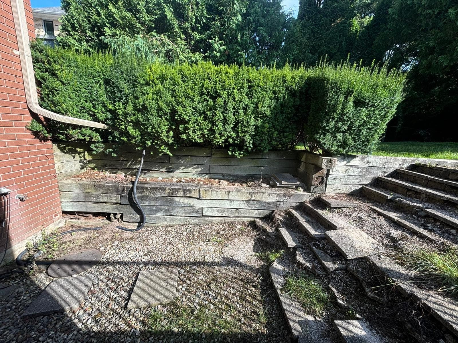 Weathered timber tie retaining wall topped with a trimmed hedge next to concrete garden steps
